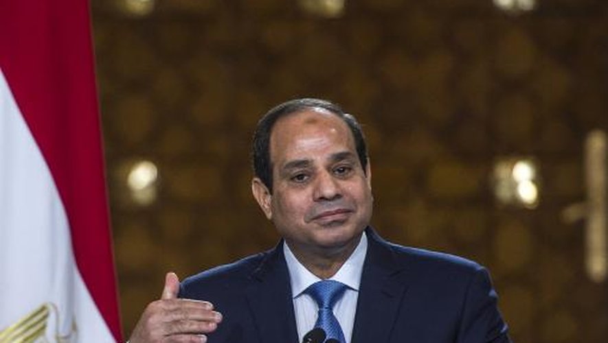 Le président Abdel-Fattah al-Sissi le 8 novembre 2014 au Caire