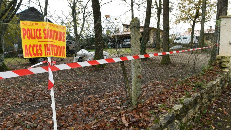 Cordon de sécurité autour de la maison d'un particulier où a été détecté un foyer de grippe aviaire H5N1, le 25 novembre 2015 à Biras en Dordogne