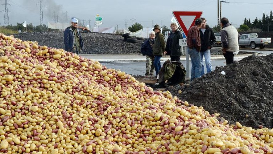Des agriculteurs camarguais ont déversé un tas de pommes de terre à Port Saint-Louis-du-Rhône, le 26 novembre 2014