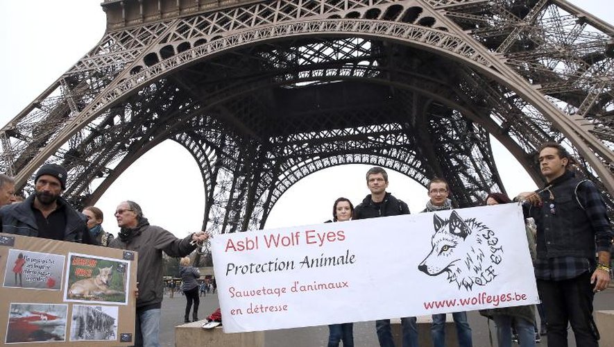 Une association belge de protection des loups proteste devant la Tour Eiffel, lors d'une manifestation de bergers contre le loup, le 27 novembre 2014 à Paris