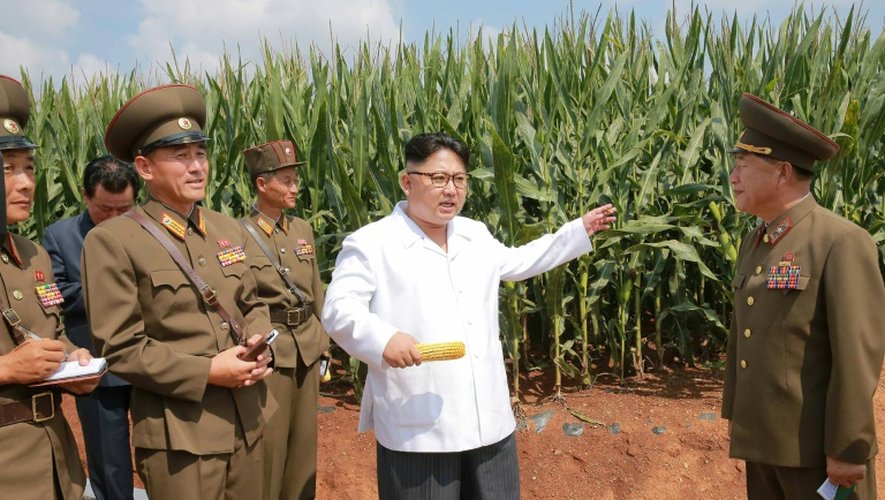 Photo non datée de l'agence officielle Nord coréenne (KCNA) du leader de la Corée du Nord Kim Jong-Un (C) inspectant une ferme de son pays