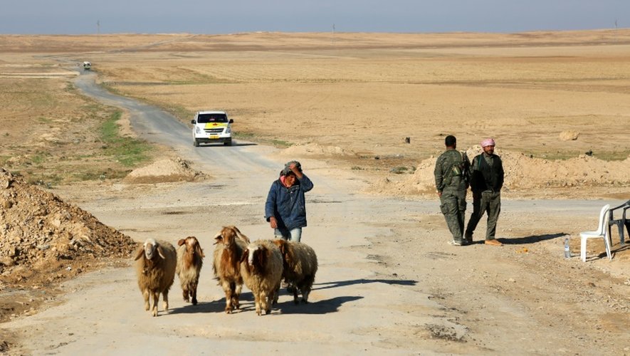 Un Syrien passe avec ses moutons près de combattants des Forces démocratiques syriennes à l'entrée du village d'Al-Hol, dans le nord-est du pays, à la frontière avec l'Irak, le 19 novembre 2015