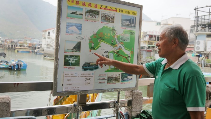 Wong Yung-kan, conducteur d'un bateau de tourisme, montre sur un plan le lieu où se trouvent les dauphins roses, à Tai O, à Hong Kong, le 4 novembre 2015