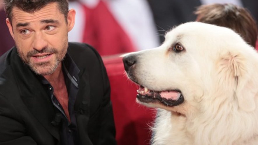 Cinéma de Noël : Thierry Neuvic rejoint la famille de Belle et Sébastien