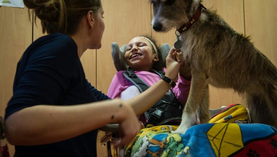 La thérapeute Emeline Chancel (g), avec la petite Chahinez, lors d'une session avec le chien Hizzy, à Wintzenheim, le 13 novembre 2015