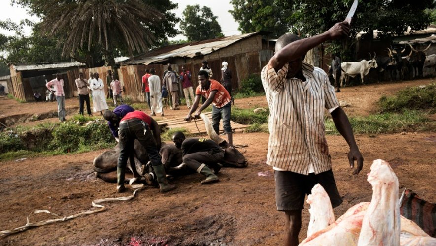 Un homme découpe un zébu dans un abattoir improvisé dans l'enclave musulmane du PK5 à Bangui en Centrafrique, le 4 décembre 2015