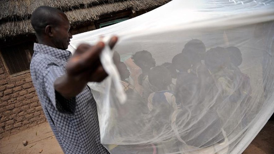 Un homme explique à des enfants l'utilisation d'une moustiquaire imprégnée d'insecticide, en 2009 au Soudan
