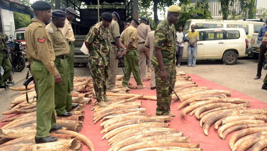 Des policiers kenyans au milieu de quelque 302 pièces d'ivoire, dont 228 défenses d'éléphants, saisis dans la ville portuaire de Mombasa, le 5 juin 2014