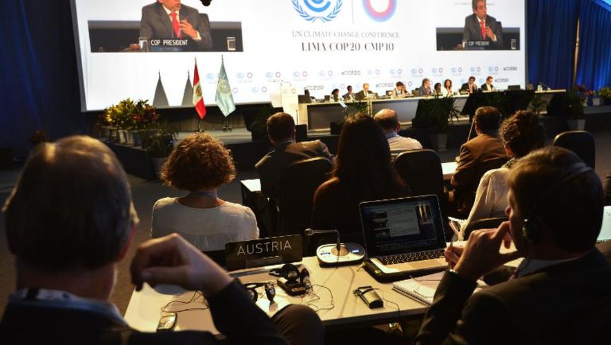 Vue générale des participants à la Conférence de l'Onu sur le climat le 12 décembre 2014 à Lima