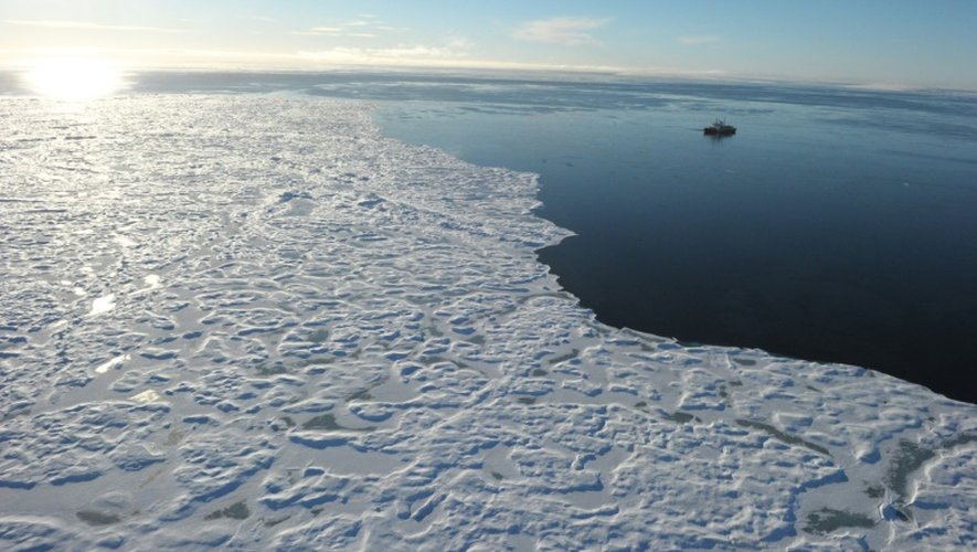 La température de l'air dans l'Arctique a atteint un record cette année depuis le début des relevés en 1900, tandis que la fonte des glaces détruit l'habitat des morses et force certains poissons à migrer plus au nord