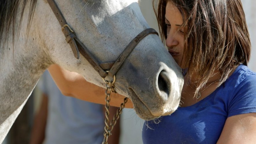 Raja Kheir caresse son cheval dans son ranch à Majdal Shams (Golan), le 22 septembre 2015