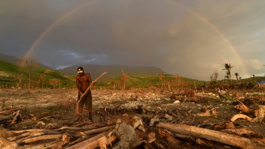 Un homme coupe du bois à Coteaux (sud-ouest de Haïti) théâtre de nombreuses destructions après le passage de l'ouragan Matthew, le 4 novembre 2016