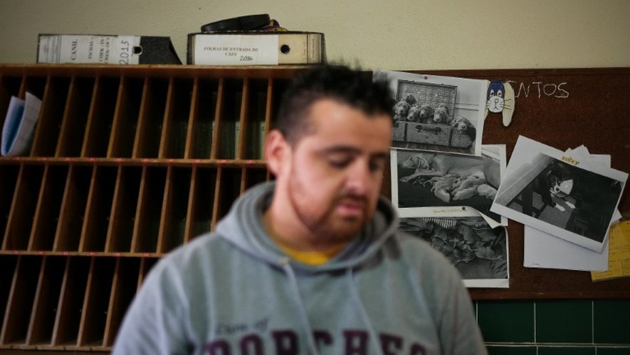 Un détenu de la prison de haute sécurité de Monsanto travaille dans un bureau d'accueil dont les murs sont tapissés de photos d'animaux, le 24 octobre 2016 à Lisbonne, au Portugal