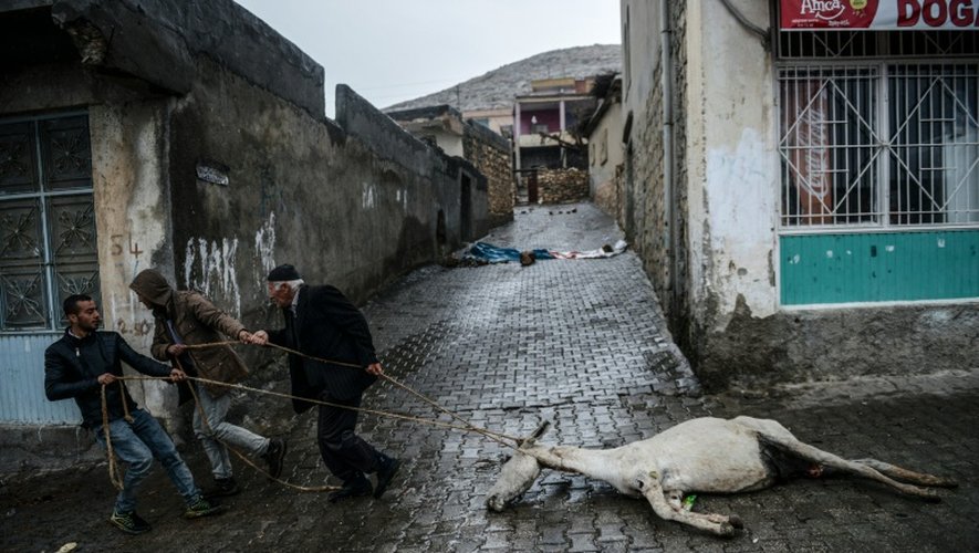 Des hommes traînent le cadavre d'un âne retrouvé dans une maison à Dargecit, dans le sud-est de la Turquie, le 30 décembre 2015