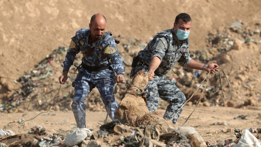 Des soldats irakiens face à un corps tiré d'une fosse commune découverte dans la région de Hamam al-Alil le 7 novembre 2016 près de Mossoul