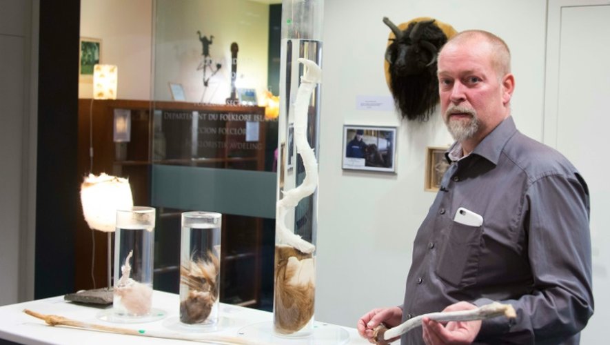 Ouvert en 1997 avec 63 pièces par Sigurdur Hjartarson, historien et collectionneur de pénis depuis les années 70, le musée est aujourd'hui dirigé par son fils, Hjortur Sigurdsson qui pose ici dan le musée du phallus à Reykjavik le 27 octobre 2016