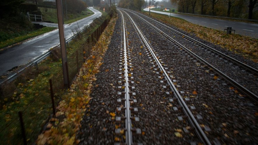 Des feuilles mortes mises sur le côté par le "train bosseur" sur la ligne entre Saint-Pierre-des-corps et Vierzon, le 18 novembre 2016