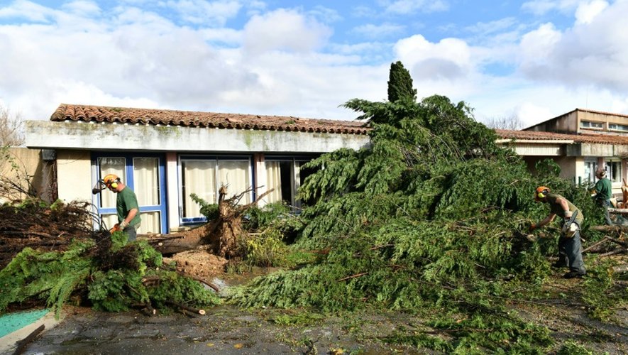 Suite au passage d'une mini-tornade au cours de la nuit de mercredi à jeudi, les arbres tombés sur l'école de Saint-Martin-de-Londres à 30 km au nord de Montpellier, dans l'Hérault sont tronçonnés, le 24 novembre 2016