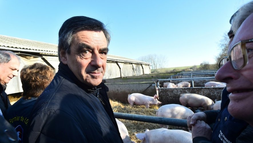 François Fillon visite un élevage de cochons, à Chantenay-Villedieu, le 1er décembre 2016