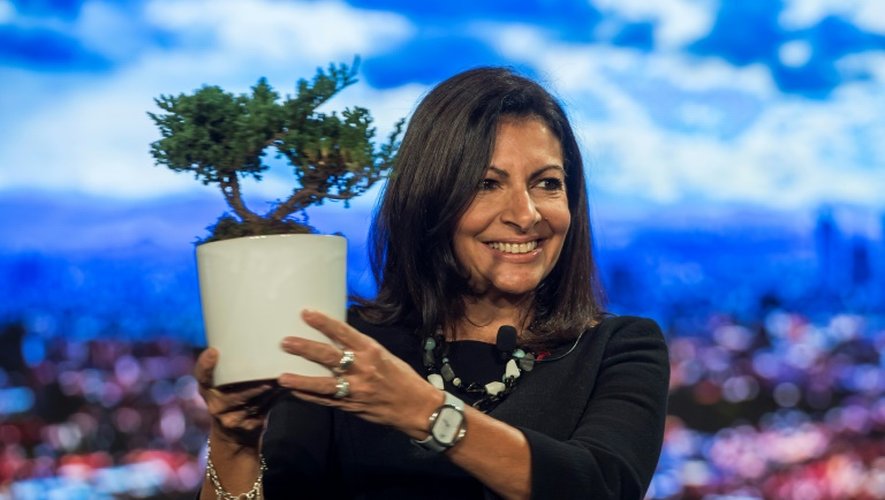 Anne Hidalgo avec le  bonsaï que lui a offert le maire de Rio, Eduardo Paes, le 1er décembre 2016 à Rio
