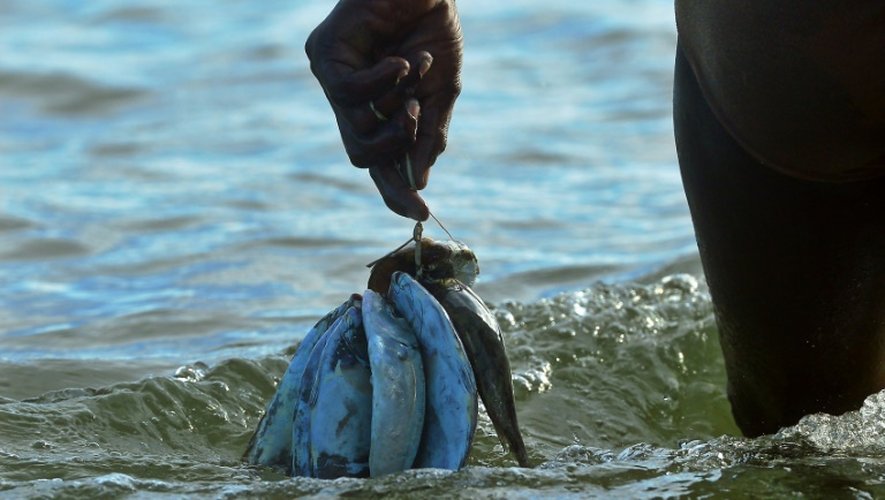 Un pêcheur au large de l'île de Pate, au Kenya, le 19 novembre 2016