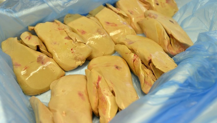 Conditionnement de lobes de foie gras dans l'usine Lafitte à Montaux (sud-ouest) le 1er septembre 2016