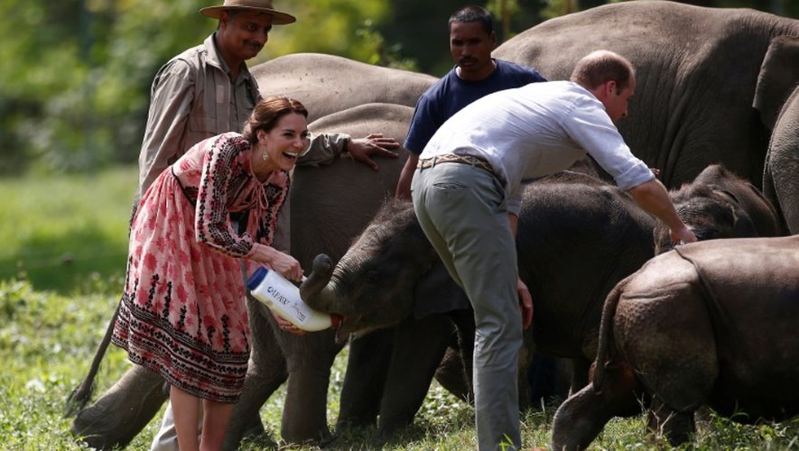 Le Prince William et sa femme Catherine nourrissent des bébés éléphants au Centre for Wildlife Rehabilitation and Conservation (CWRC) à Kaziranga, dans l'Etat indien d'Assam le 13 avril 2016