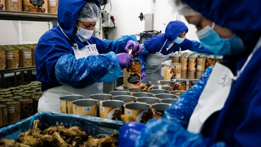 Préparation du foie gras le 8 novembre 2016 dans une exploitation industrielle du village de Milevo