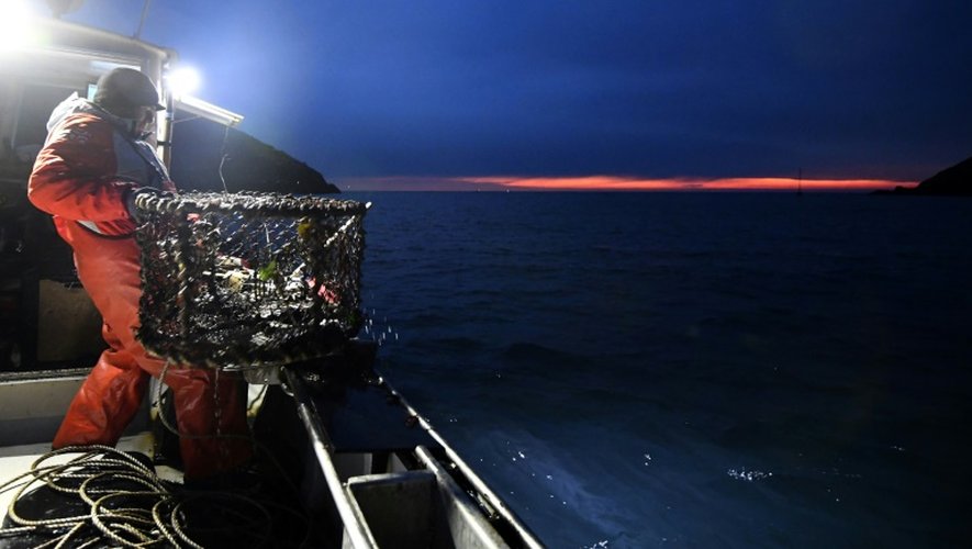 Pêche au homard au large de Paimpol, dans l'ouest de la France, le 20 décembre 2016