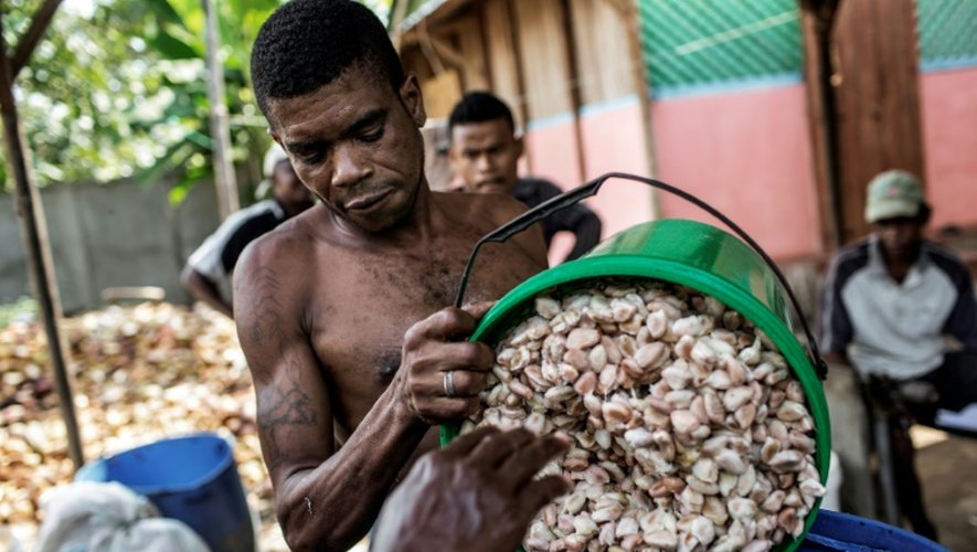 Un ouvrier malgache décharge les fèves de cacao à Ambanja, à Madagascar, le 29 novembre 2016