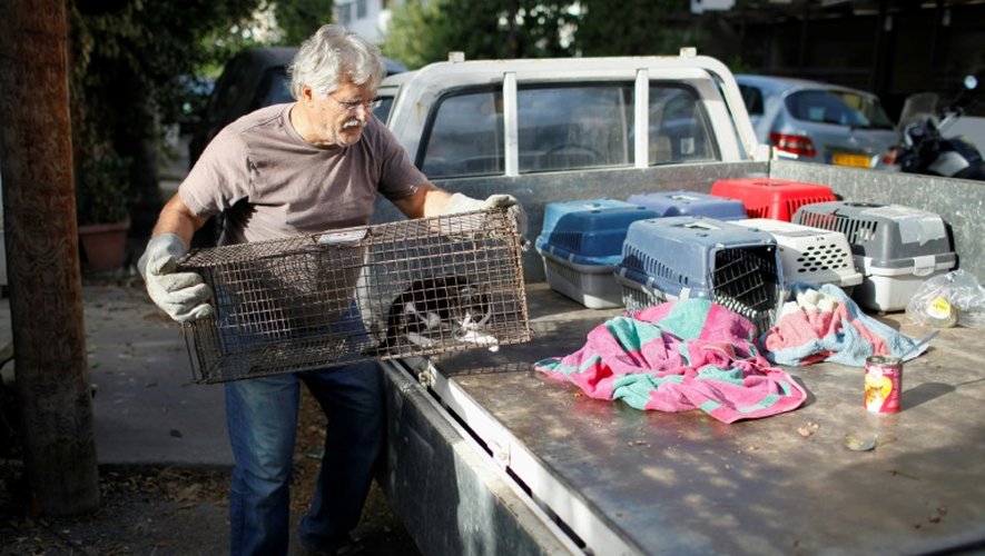 Dinos Ayiomamitis, installe dans les rues de Nicosie, le 13 octobre 2016 des pièges pour attraper les chats dans le cadre d'une campagne de stérilisation