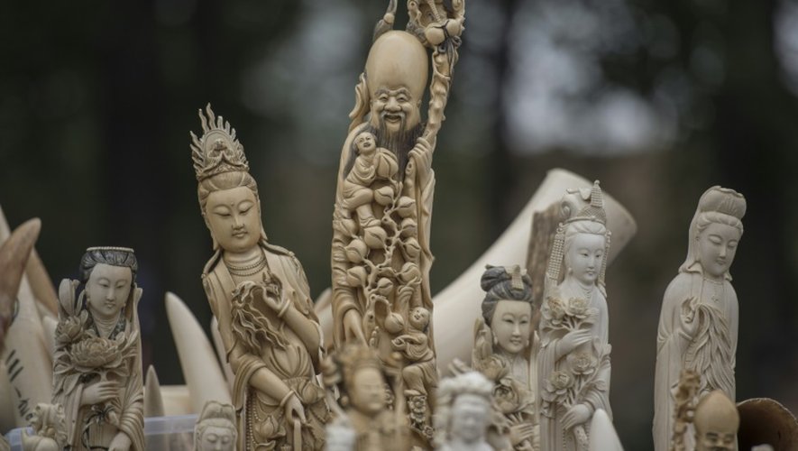 Des statuettes en ivoire, le 29 mai 2015 saisies en Chine et montrées aux médias avant leur destruction