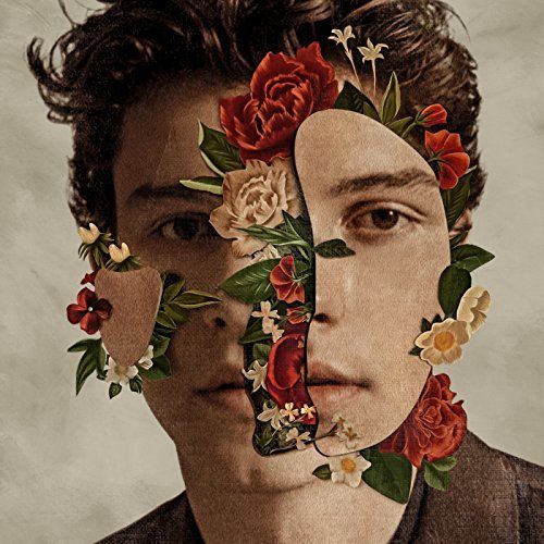 "Shawn Mendes: The Album" sort le 25 mai.