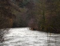 Fortes pluies : le Sud-Aveyron en alerte jaune