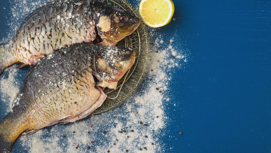 Menus santé : au bon souvenir des poissons d’eau douce