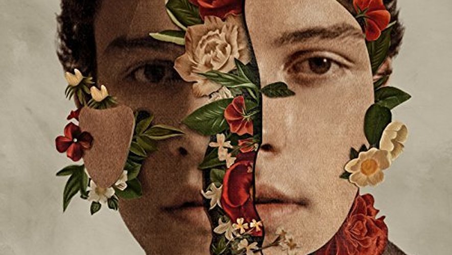 "Shawn Mendes: The Album" sortira la semaine prochaine