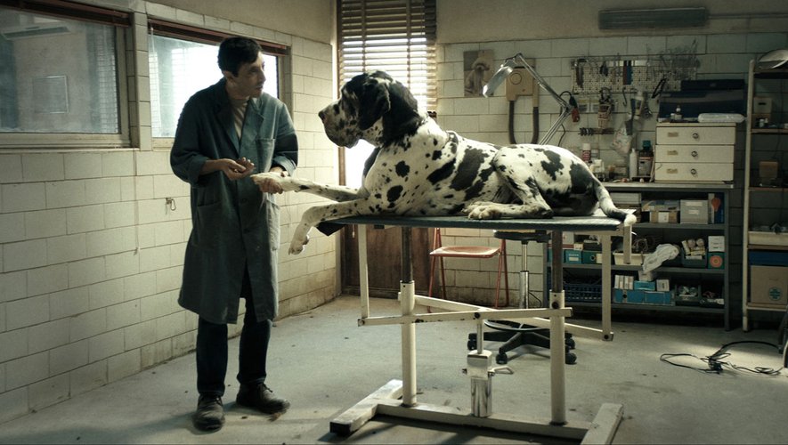 Les chiens omniprésents dans "Dogman" ont valu vendredi au film de Matteo Garrone la Palm Dog du meilleur interprète canin