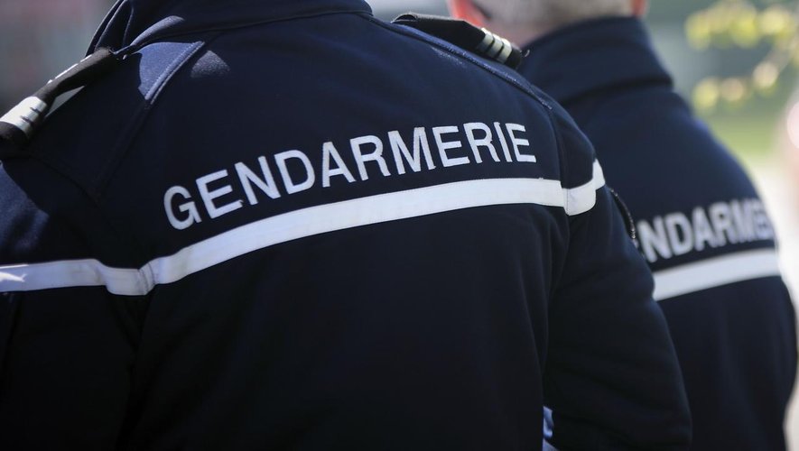 Les gendarmes de l'Aveyron et les policiers de la Loire ont interpellés deux individus.