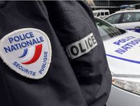 Attaque de chiens à Decazeville : le propriétaire entendu