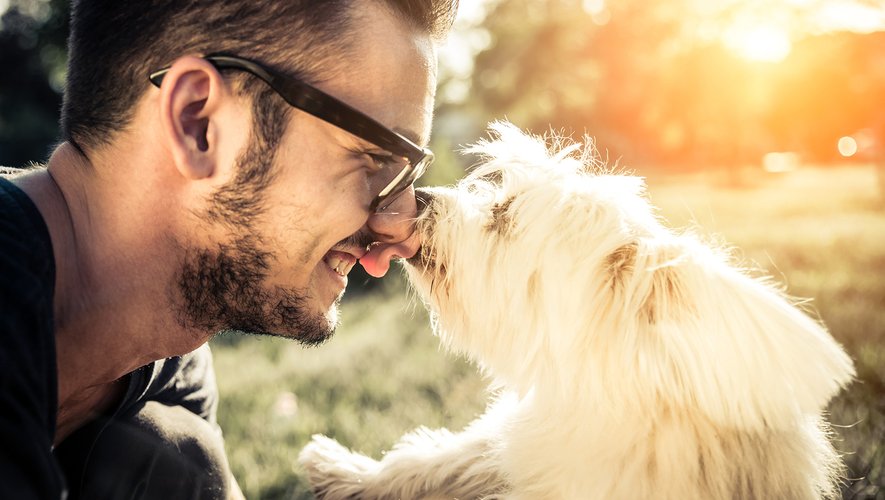 49% des français sont plus heureux en vacances avec leurs animaux de compagnie.