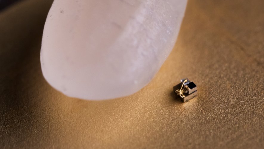 L'Université du Michigan (Etats-Unis) a présenté ce qui peut être aujourd'hui qualifié de plus petit ordinateur du monde, posant ici à côté d'un grain de riz.