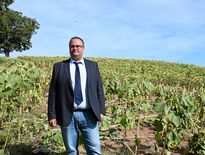 RAGT ou Faucheurs volontaires : qui a raison ? « Mutagénèse égale OGM »