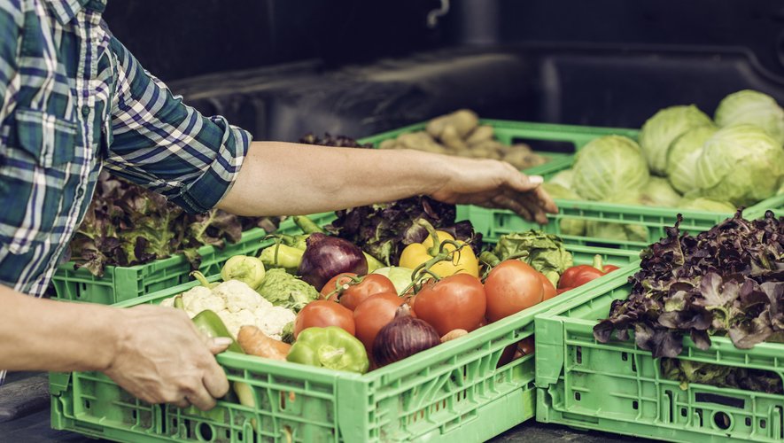 Les prix des fruits et légumes sont repartis en hausse cet été, montre jeudi le baromètre annuel de l'association Familles rurales.