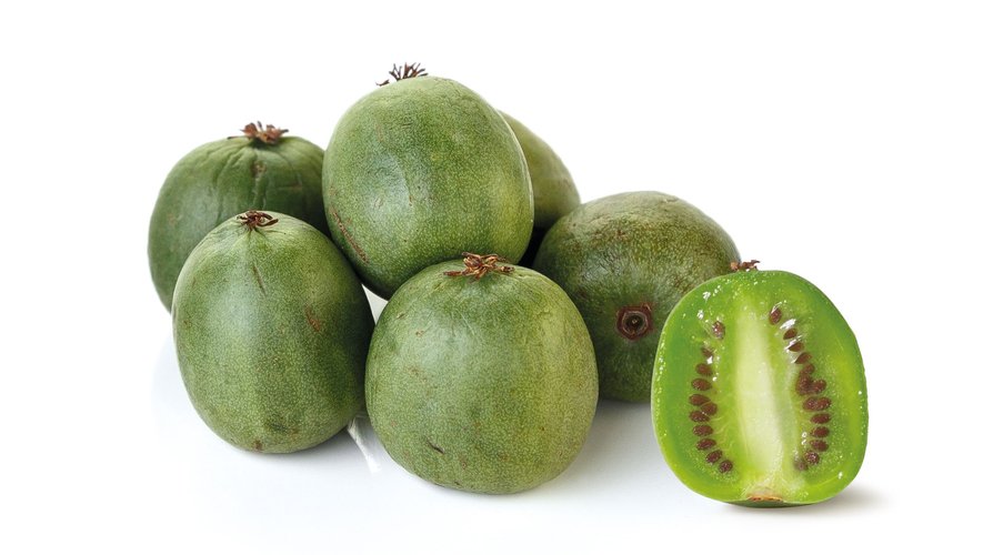 Le mini-kiwi Nergi fait partie de ces fruits qui ne se pèlent pas. On le trouve dans les étals de fruits entre la mi-août et la mi-novembre.