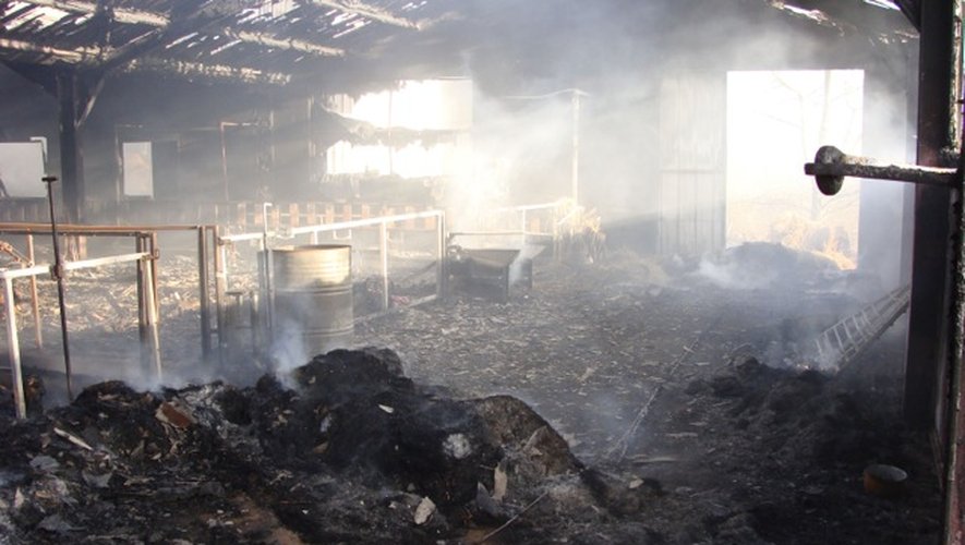 Aveyron : près de 400 ovins périssent dans un incendie !