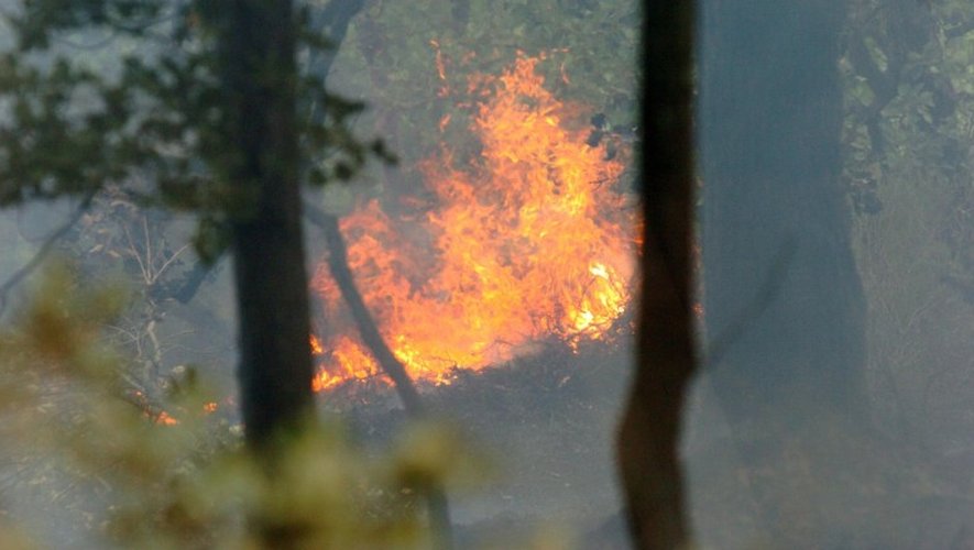 Aveyron : plusieurs feux de broussailles ce jeudi