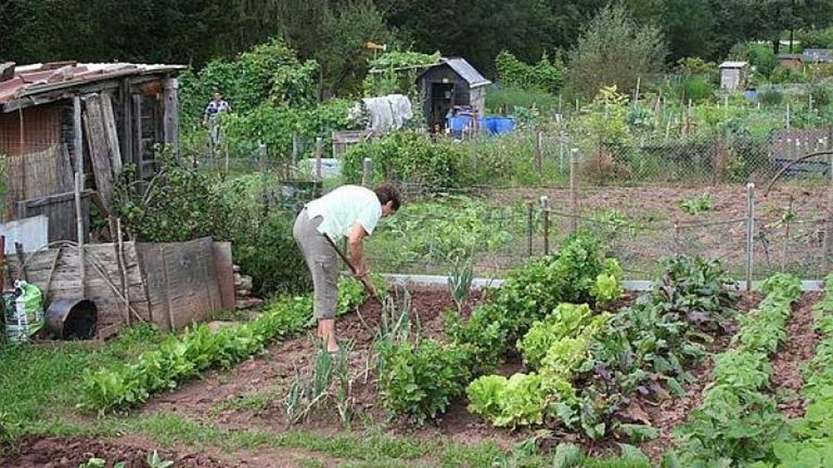 « Bienvenue dans mon jardin au naturel » : inscrivez-vous ...