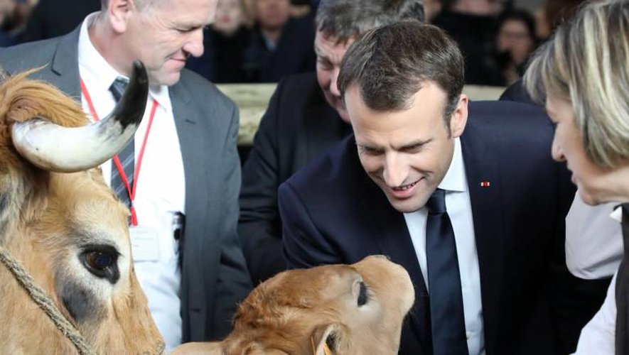Le président de la République en pince pour le petit Olympe (Photo AFP)