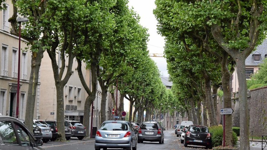 Les arbres du boulevard d’Estourmel ont également été traités.
