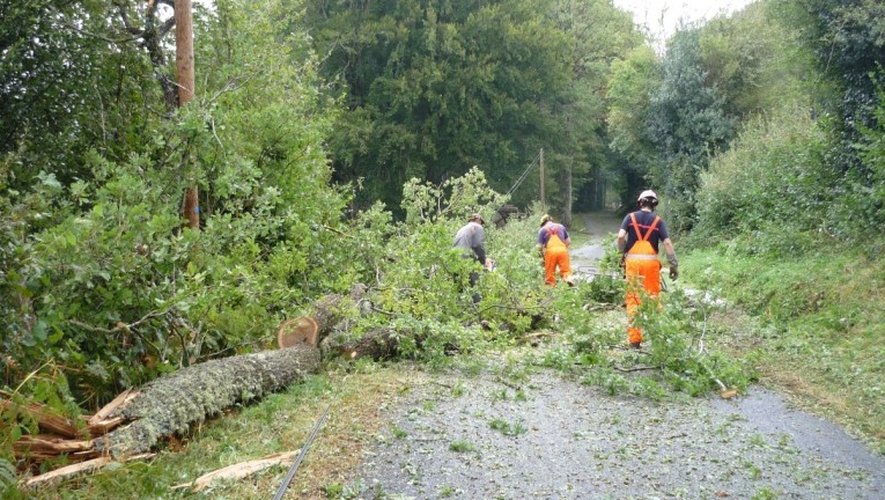 A Salles-Curan, plusieurs routes ont été coupées par des chutes d’arbres et de branches. 